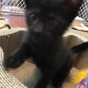 Meet your Posher, Patrick